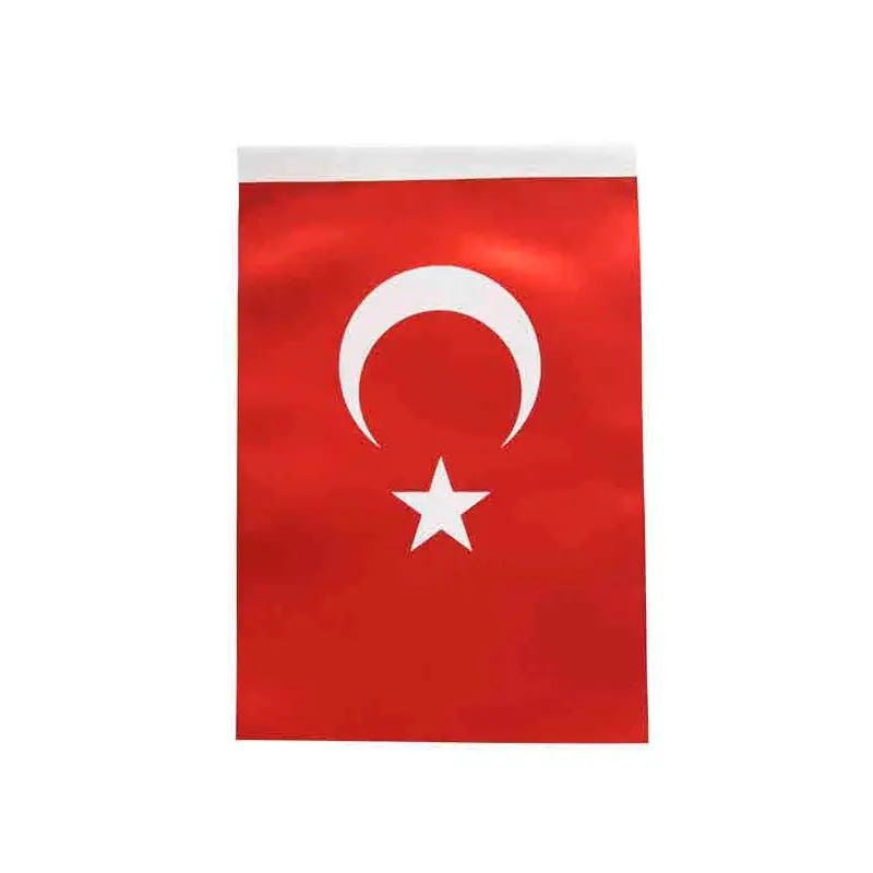 Inter B-003 Türk Bayrağı 40x60cm