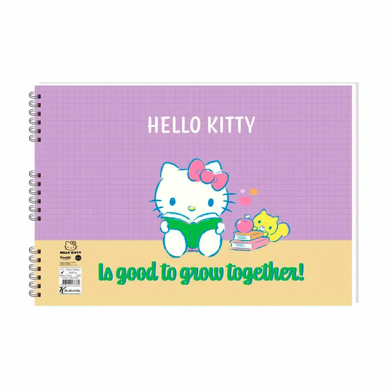 Hello Kitty Spiralli Karton Kapak Resim Defteri 25x35cm 15 Yaprak x 24 Lü Paket