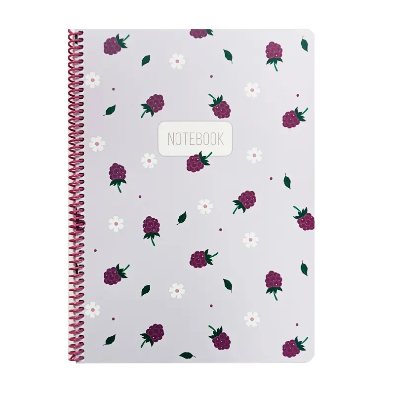 Keskin Color Meyve Desen Spiralli Karton Kapak Defter 80 Yaprak A4 Çizgili