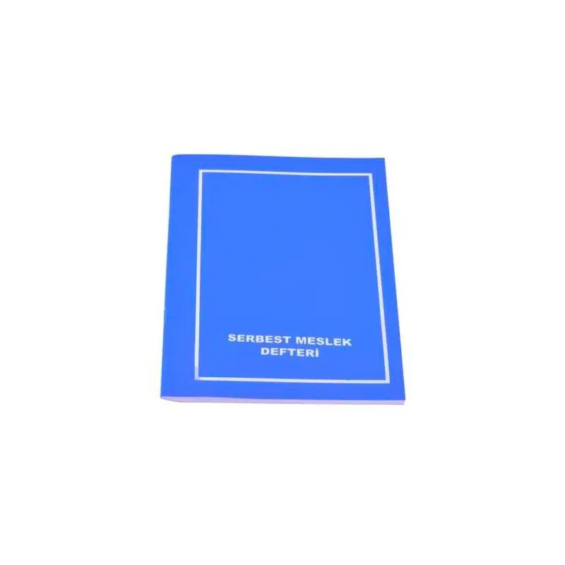 Gülpaş Plastik Kapak 20x28cm Serbest Meslek Defteri 48 Yaprak