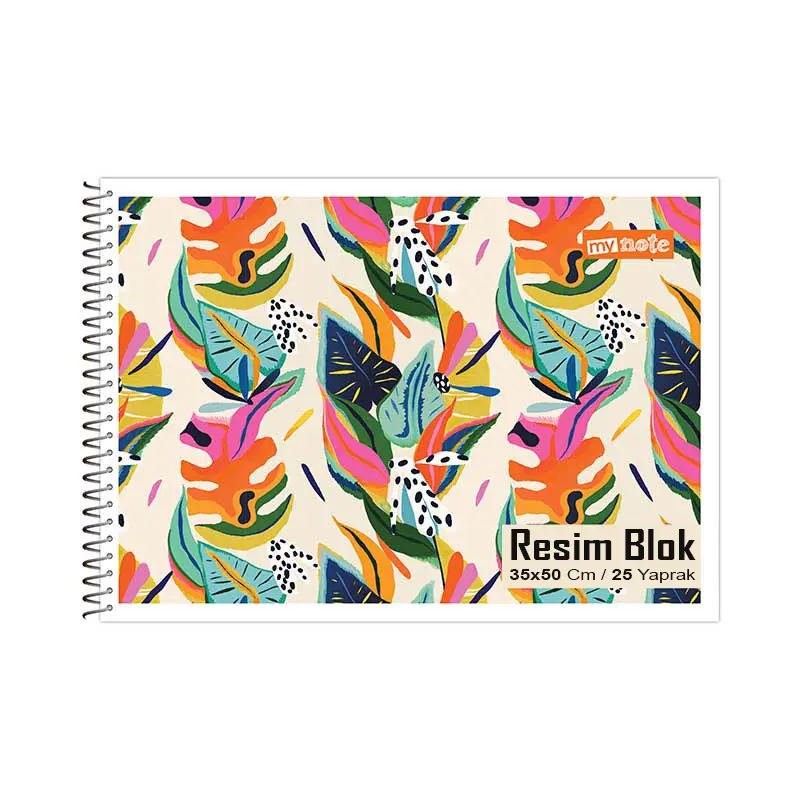MyNote Spiralli Resim Blok 35x50cm 25 Yaprak 12 Li Paket